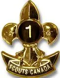 1-Year Service Commemorative Pin 1
