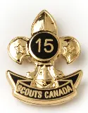 15-Year Service Milestone Pin 1