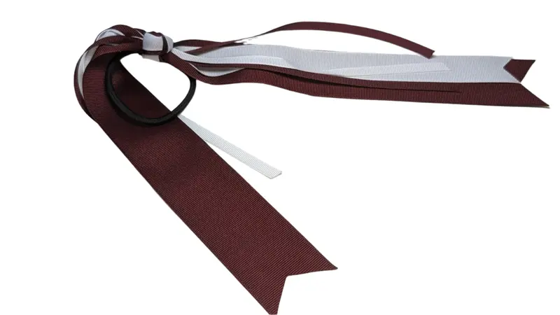 18-Inch Burgundy & White Streamer – Chs School Spirit Accessory 1
