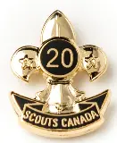 20-Year Service Pin – Dedicated Service Anniversary Badge 1
