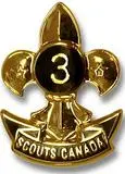 3-Year Service Achievement Pin 1