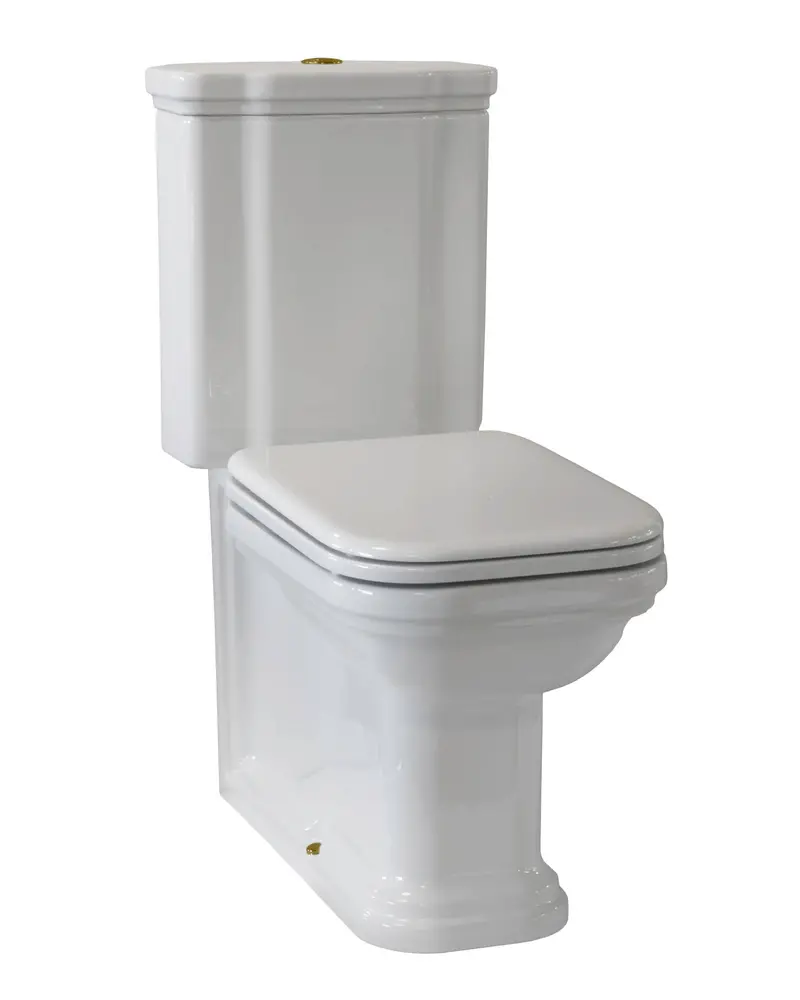 Art Deco Floor-Mounted Toilet In Bronze With Push-Button Flush And Seat 1