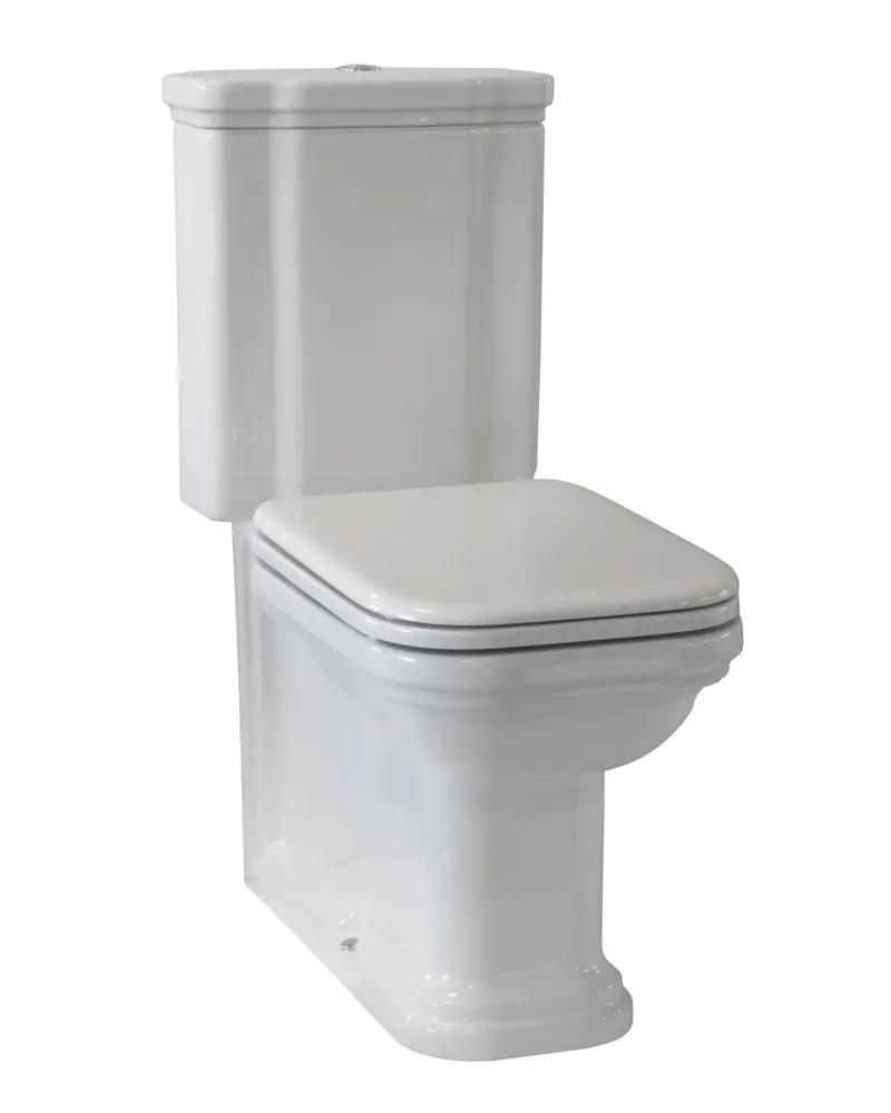 Art Deco Floor-Standing Toilet Suite With Chrome Flush Button And Seat 1
