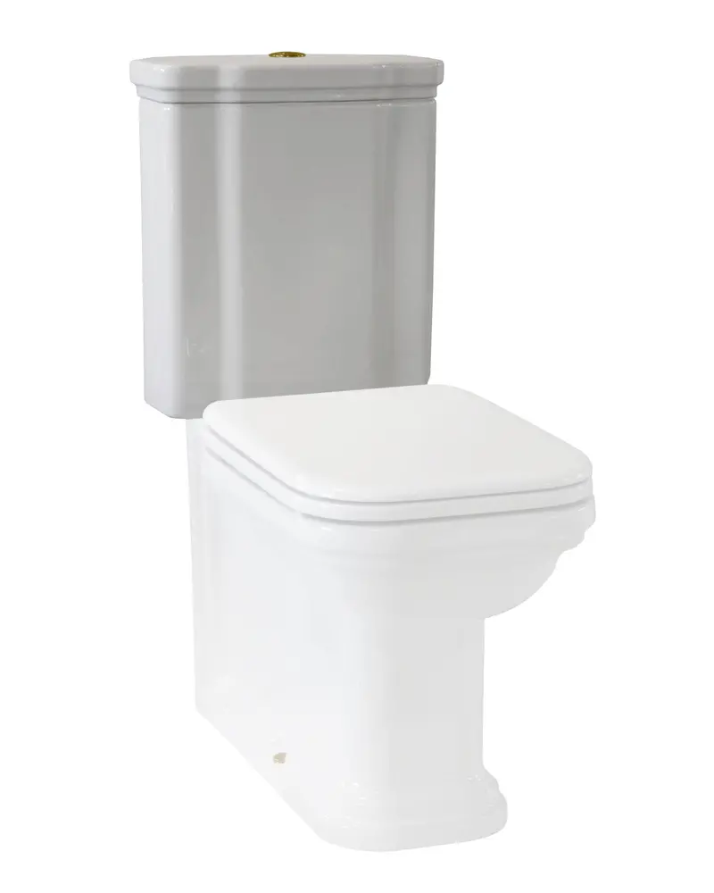 Art Deco Wall-Mounted Wc Cistern With Bronze Flush Button 1