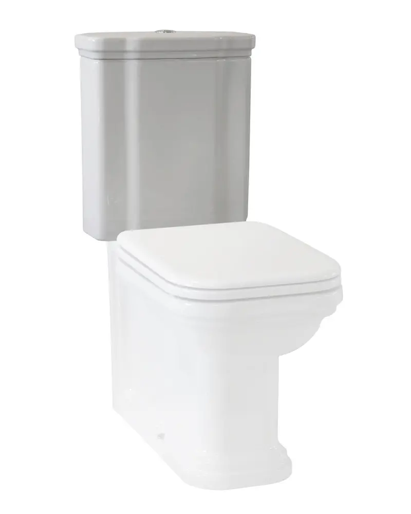 Art Deco Wall-Mounted Wc Cistern With Chrome Flush Button 1