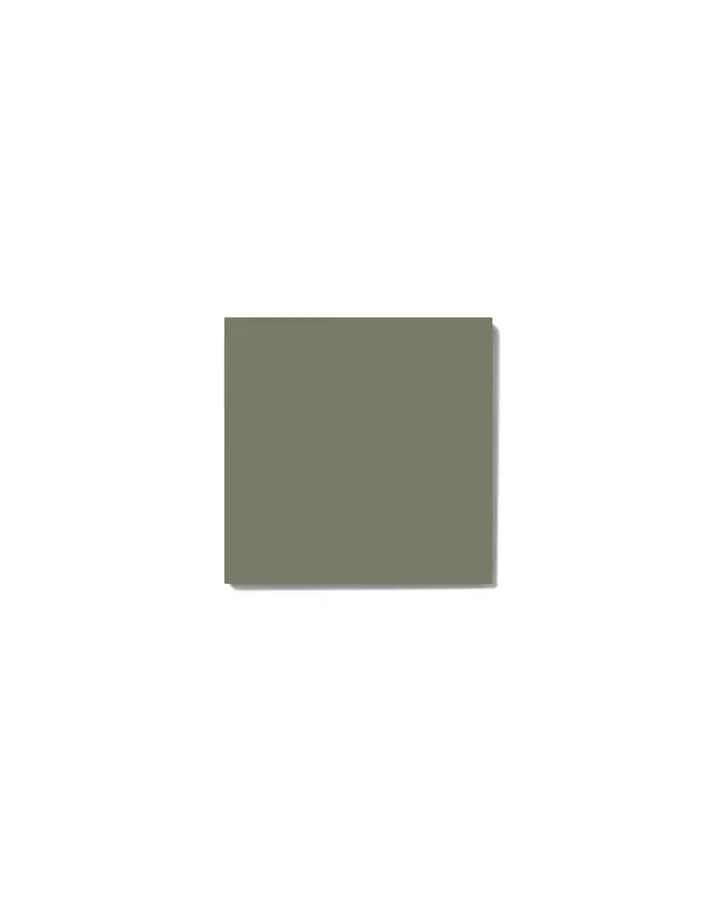 Australian Green Clay Brick Sample 1