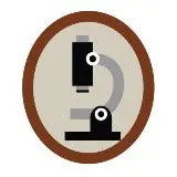 Beavers Science Exploration Badge 1