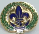 Committee Member Lapel Pin – Governance & Leadership Badge 1