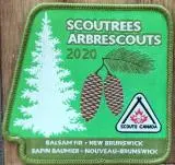 Crest Badge: Scoutrees 2020 – Annual Tree Planting Initiative 1