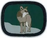 Crest Wildlife Patrol Lodge – Coyote Crest 1