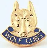Cub Membership Pin – Entry-Level Youth Recognition Badge 1