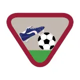 Cubs Summer Fitness Challenge Badge 1
