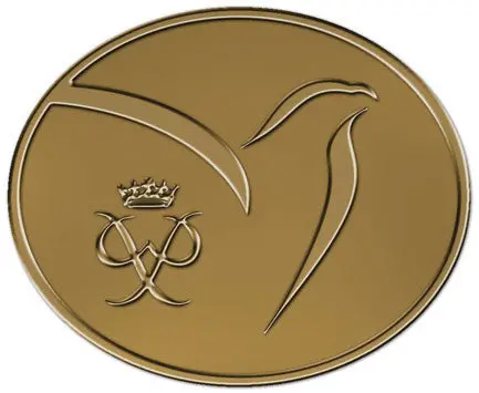 Duke Of Edinburgh Award Pin 1