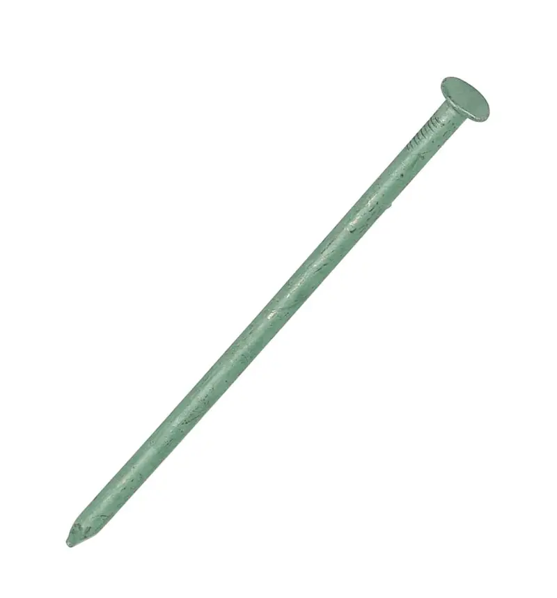 Easyfix 6Mm X 150Mm Green Outdoor Corrosion-Resistant Nails – 0.25Kg Pack 1