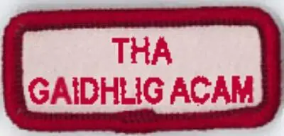 Gaelic Language Support Badge 1