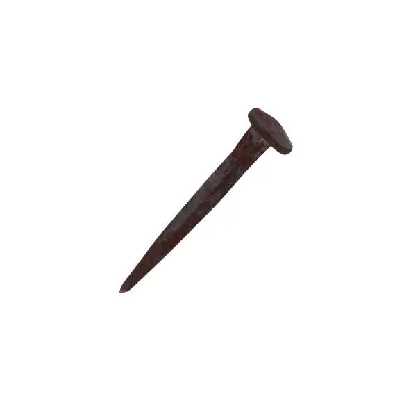 Hand-Forged Iron Nail – 55 Mm 1