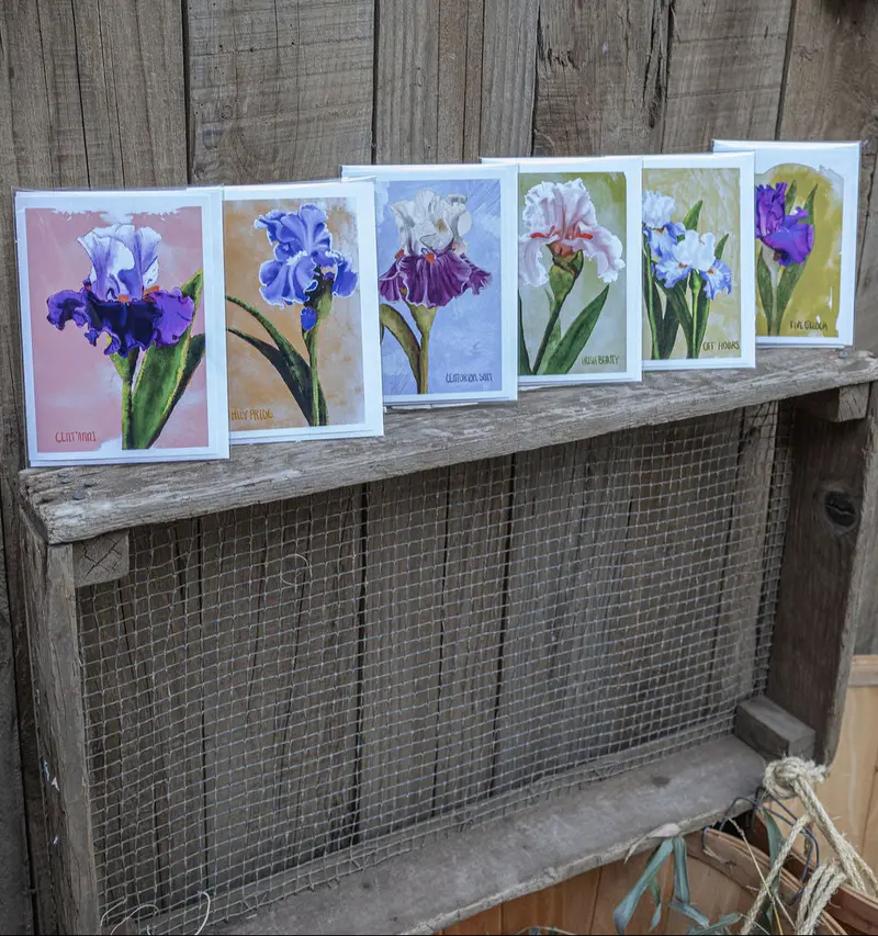 Jill Myer Artistic Greeting Card Collection – Curated Stationery Bundle 1