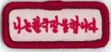 Korean Language Representation Badge 1