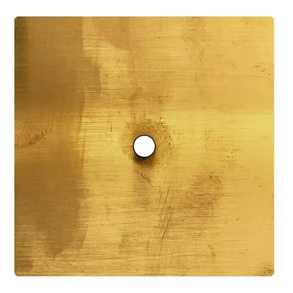 More Single-Gang Decorative Switch Plate In Brass 1