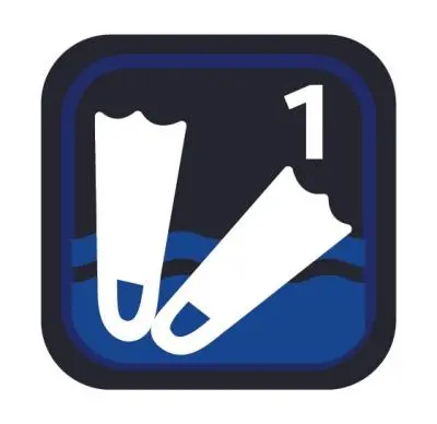 Oas Aquatics Safety & Skills Badge 1