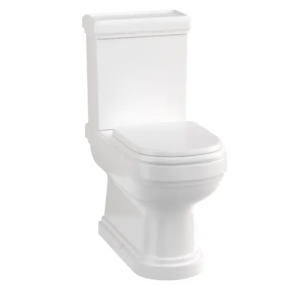 Riviera Floor-Standing Toilet – P-Trap Design With Soft-Close Seat And Polished Brass Details 1