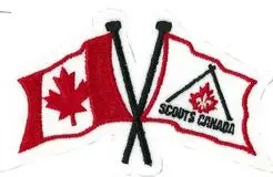 Scout Crest: Crossed Flags Symbol 1