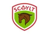 Scouts Youth Leadership Training Badge 1