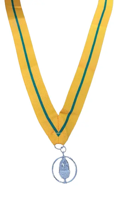 Silver Acorn Bar Award - Merit Recognition Medal 1