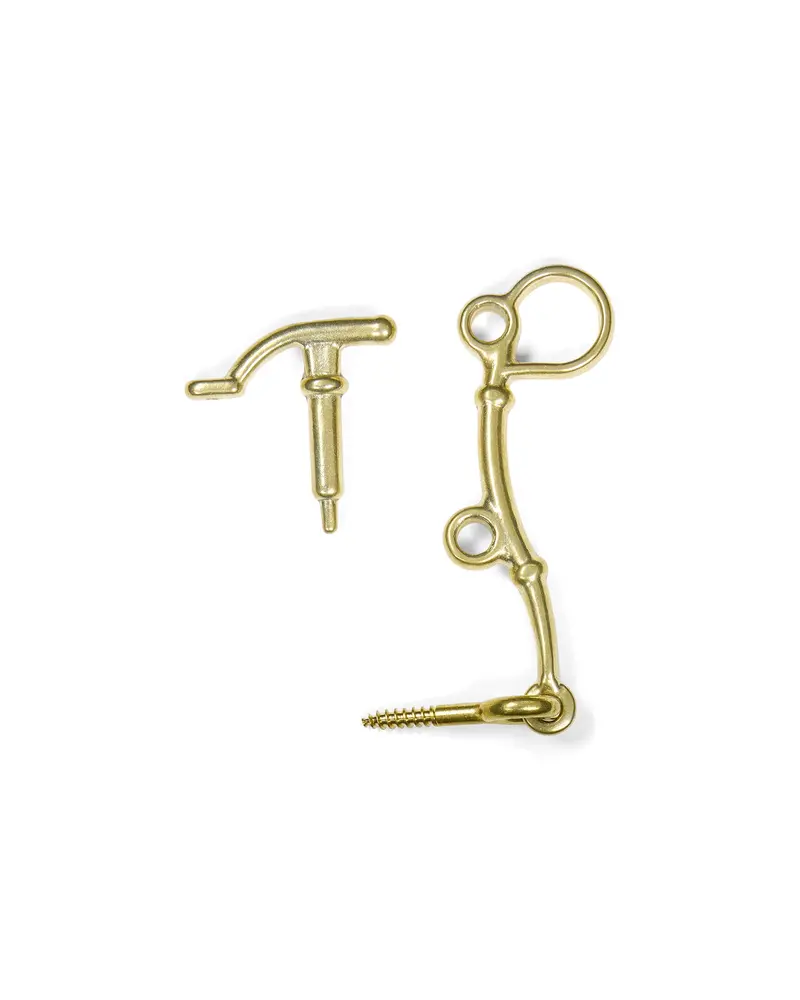 Storm Window Lock With Brass T-Bar Handle And Star-Latch Mechanism 1