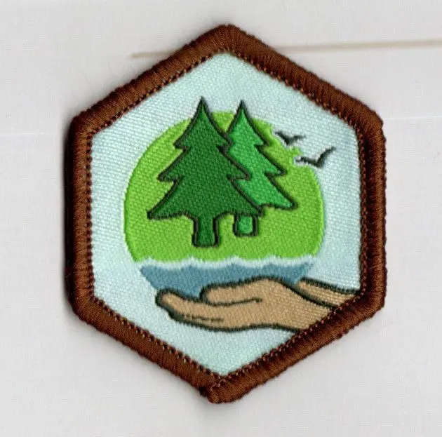 Sustainable Development Goal: Environment Badge 1
