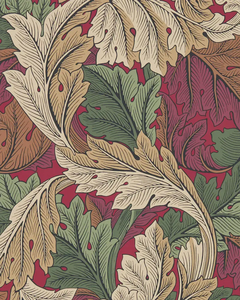 William Morris Acanthus Wallpaper In Madder And Thyme 1