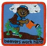 Work Hard Beaver Effort Crest – Crest Responsibility & Achievement 1