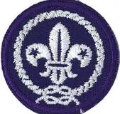 World Member Identification Cloth Badge 1