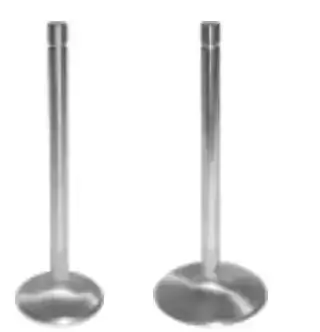 Set Of 8 Intake Valves – Direct Replacement For Select Engine Builds 1